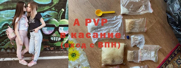 прущие крисы Балахна