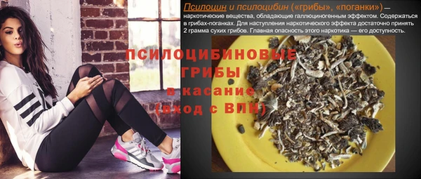 молекула духа Белокуриха