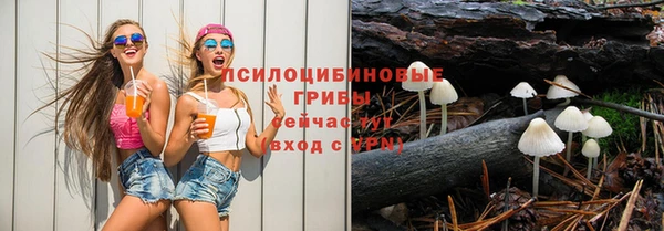 прущие крисы Балахна
